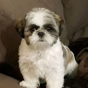 Meet your Posher, Kathryn